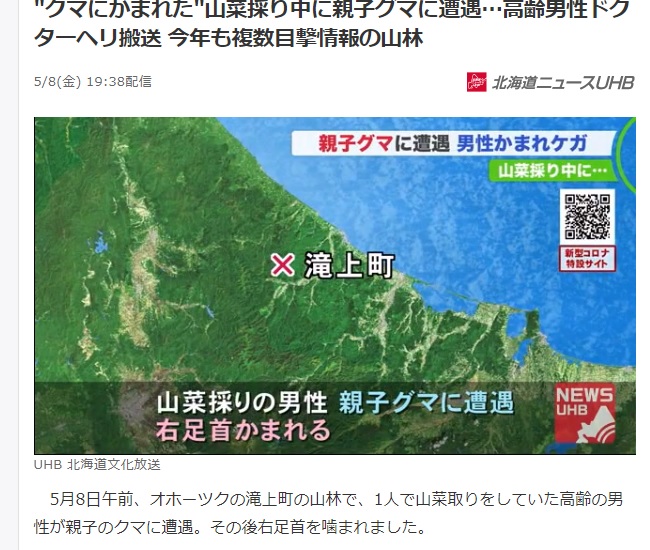 釣り人よりも山菜採りの人の方が クマに襲われることが多いのは何故か 釣りにゃんだろう