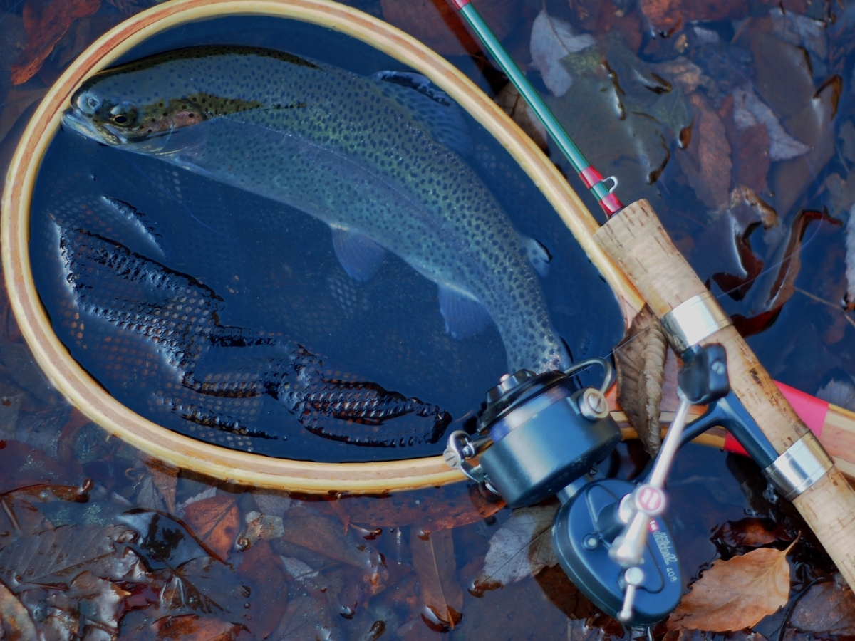 f:id:nyandaro:20220101063846j:plain