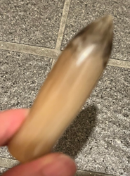 レザースティック画像