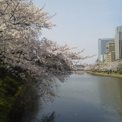 f:id:nyangoro:20150330173228j:plain f:id:nyangoro:20150330173228j:plain