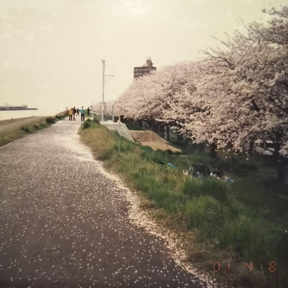 f:id:nyangoro:20190408193002j:plain f:id:nyangoro:20190408193002j:plain