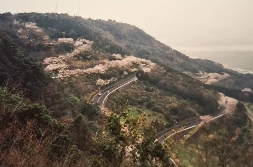 f:id:nyangoro:20190408193650j:plain f:id:nyangoro:20190408193650j:plain