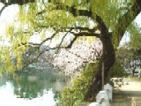 f:id:nyangoro:20190408194617j:plain f:id:nyangoro:20190408194617j:plain