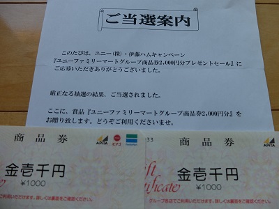 f:id:nyanhaha:20190104160723j:plain