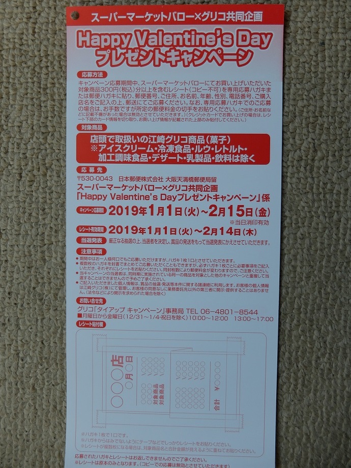 f:id:nyanhaha:20190107151559j:plain