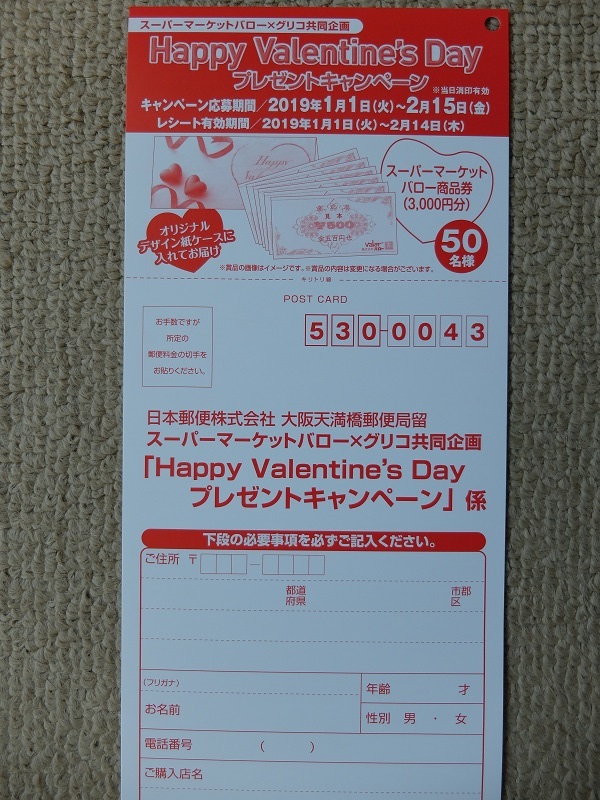 f:id:nyanhaha:20190107151616j:plain