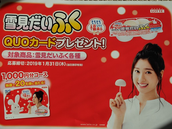 f:id:nyanhaha:20190109175724j:plain