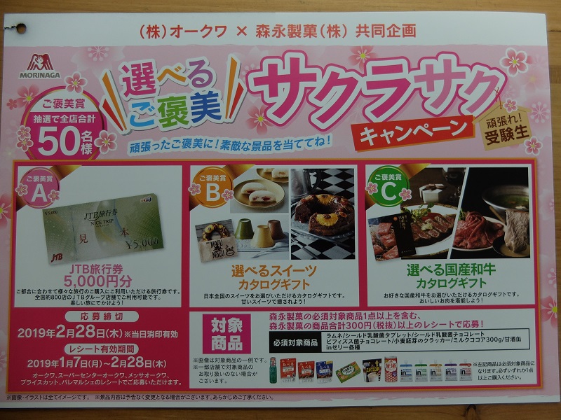 f:id:nyanhaha:20190116182710j:plain