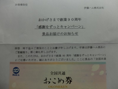 f:id:nyanhaha:20190119185441j:plain