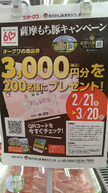 f:id:nyanhaha:20190306175914j:image
