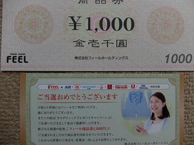 f:id:nyanhaha:20190306182035j:plain