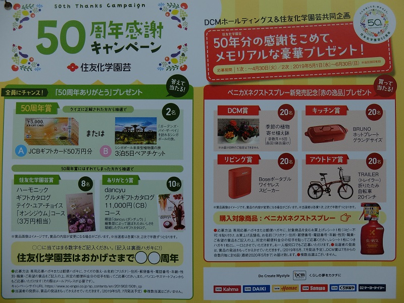 f:id:nyanhaha:20190426152841j:plain