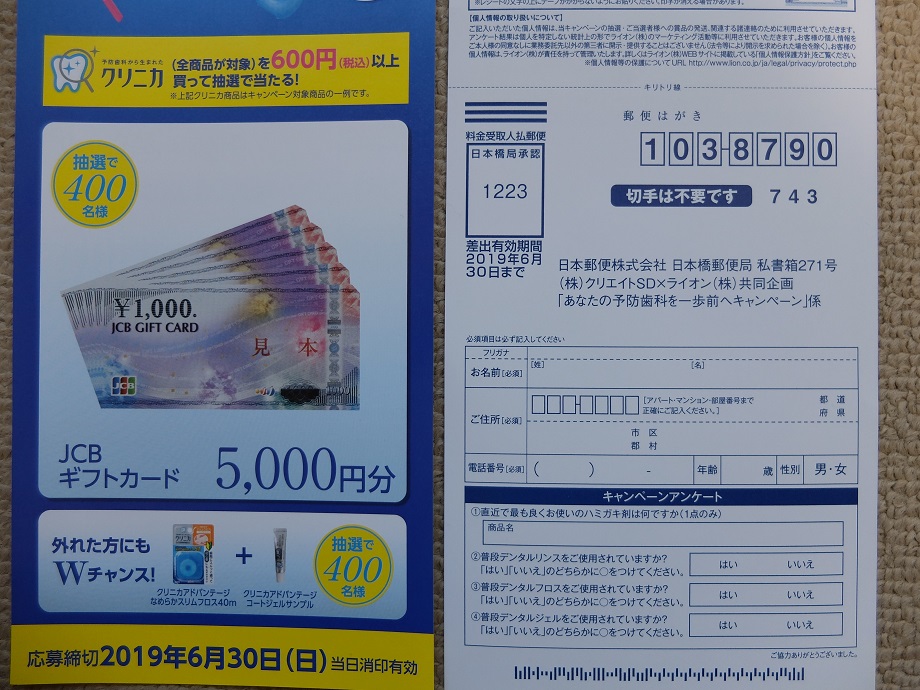 f:id:nyanhaha:20190507183915j:plain