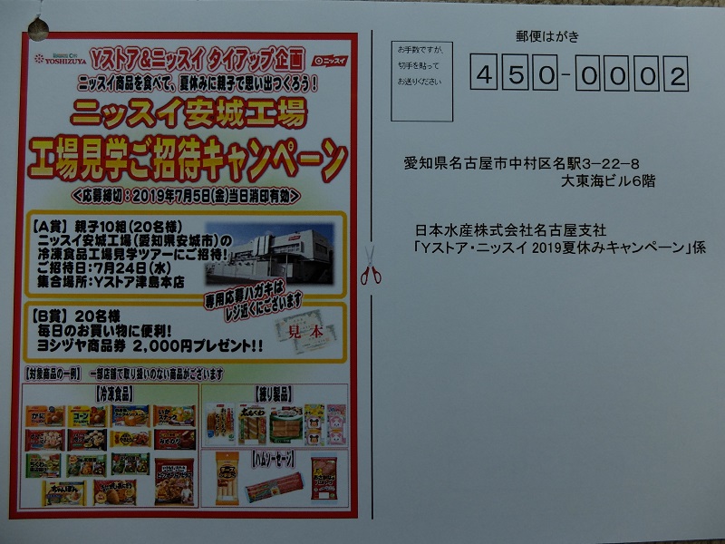 f:id:nyanhaha:20190605143834j:plain
