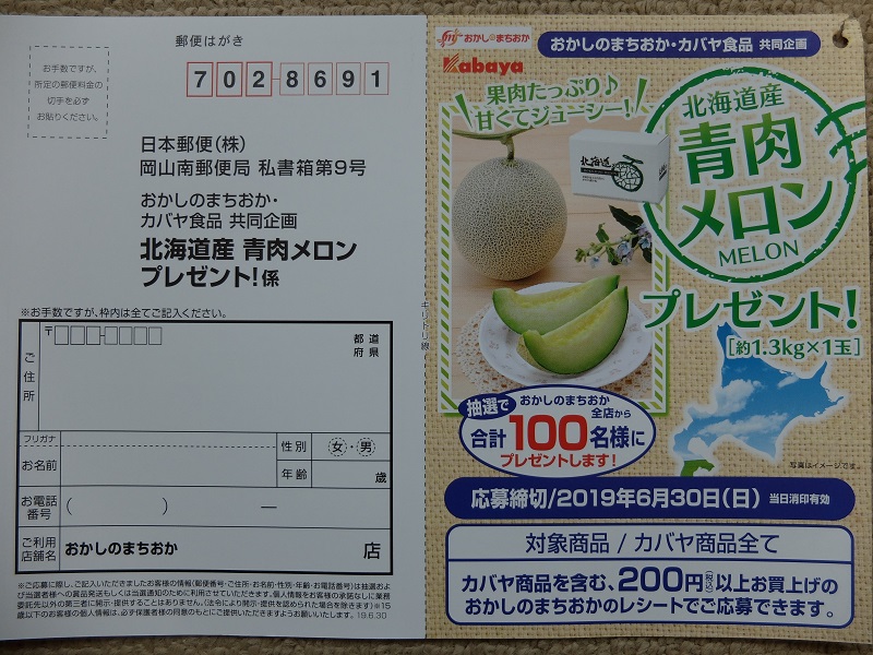 f:id:nyanhaha:20190622192053j:plain