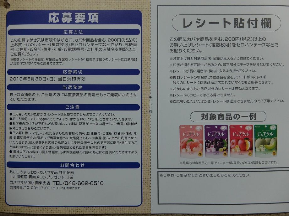 f:id:nyanhaha:20190622192107j:plain