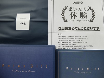 f:id:nyanhaha:20190622193102j:plain