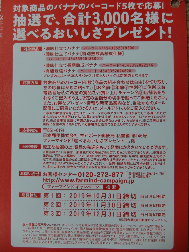 f:id:nyanhaha:20191008153215j:plain
