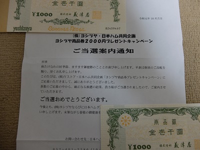 f:id:nyanhaha:20191018185518j:plain