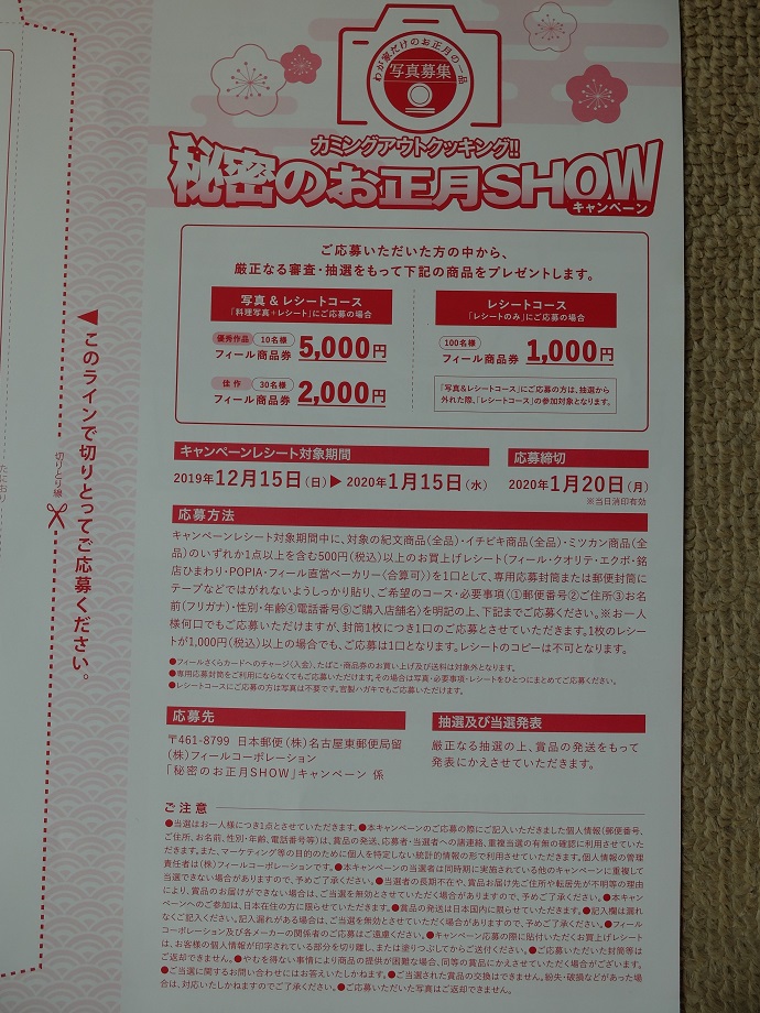 f:id:nyanhaha:20200103190341j:plain