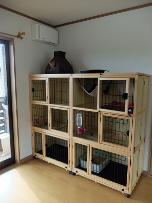 f:id:nyanhaha:20200116164341j:plain