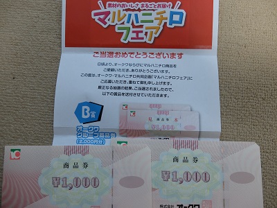 f:id:nyanhaha:20200118175514j:plain