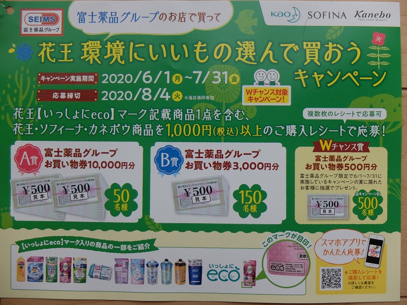 f:id:nyanhaha:20200708151051j:plain
