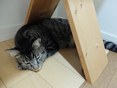 f:id:nyanhaha:20200713165223j:plain