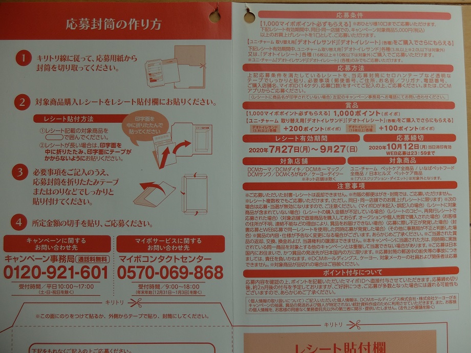 f:id:nyanhaha:20200818115745j:plain