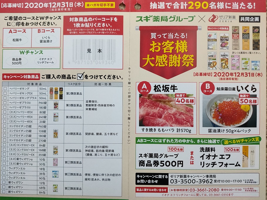f:id:nyanhaha:20201029173559j:plain