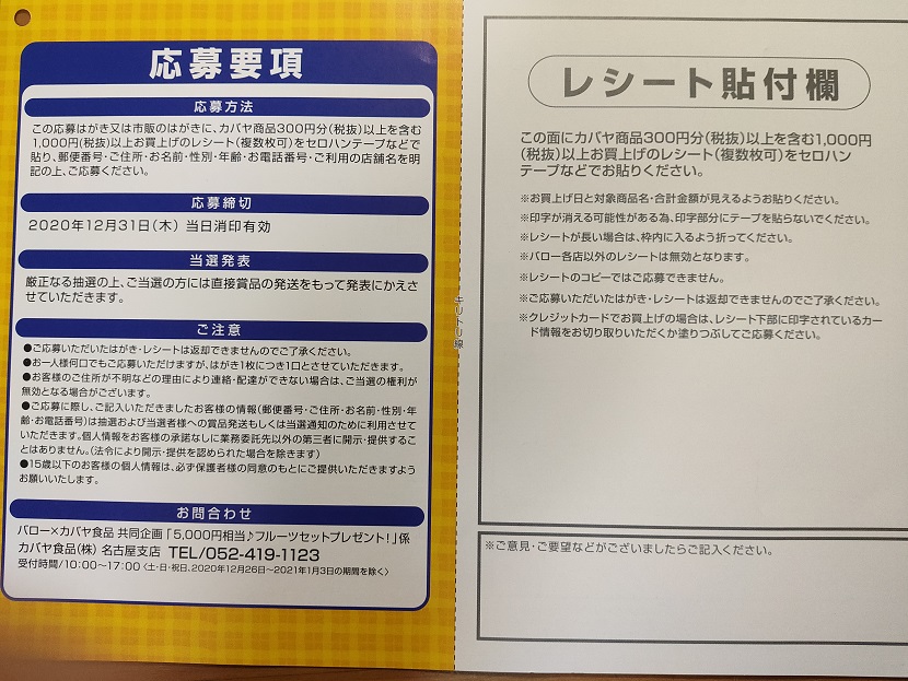 f:id:nyanhaha:20201201191601j:plain