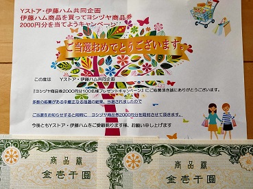f:id:nyanhaha:20210613203732j:plain