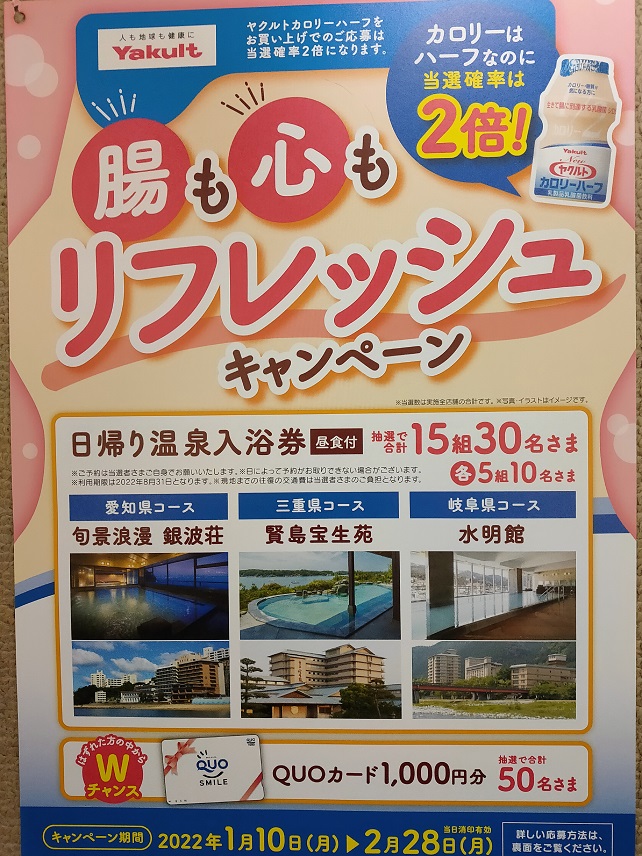 f:id:nyanhaha:20220108175536j:plain