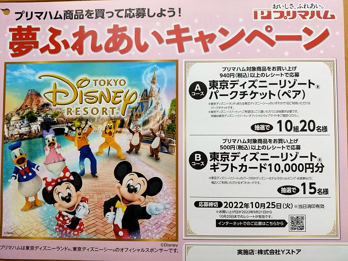 親子イベントやディズニーパークチケット当たる Yストアの懸賞 キャンペーン情報 にゃん母の懸賞当選生活