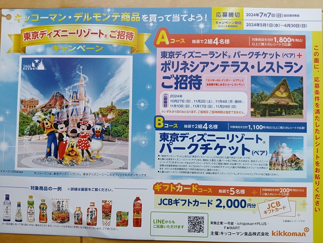 ディズニーランド チケット 1月27日当選分 2枚