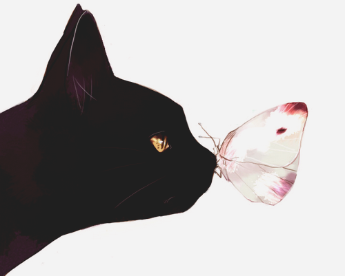 f:id:nyankichitter:20151018223609p:plain