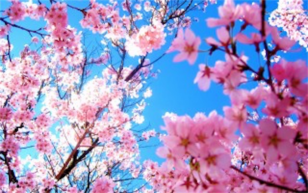 f:id:nyanko-fx:20180416051243j:image f:id:nyanko-fx:20180416051243j:image