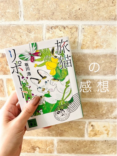 f:id:nyankokurage:20251008164241j:image