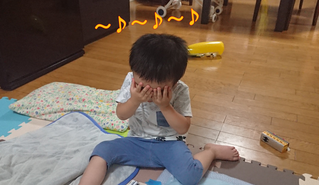 f:id:nyankonohousoku:20180924183840p:plain f:id:nyankonohousoku:20180924183840p:plain