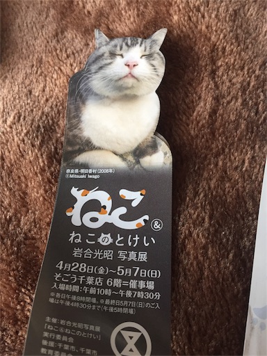 f:id:nyankonote:20170501105331j:image f:id:nyankonote:20170501105331j:image
