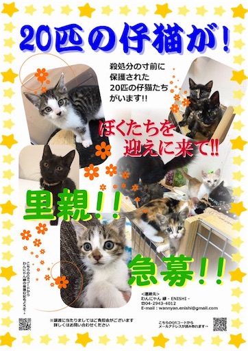 f:id:nyankonote:20170706151319j:image