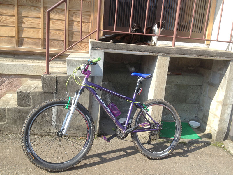 f:id:nyankorogy:20130413151158j:image:w360