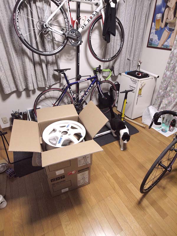 f:id:nyankorogy:20130504184245j:image:w360