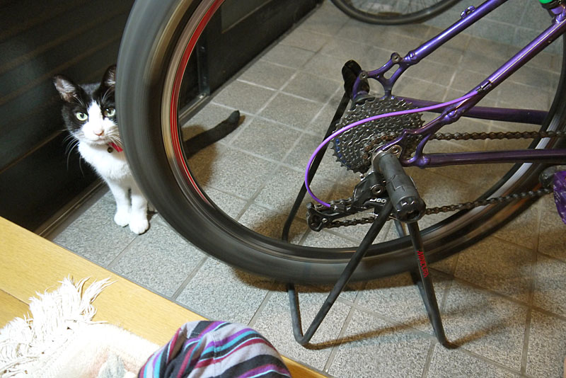 f:id:nyankorogy:20130930191856j:image:w360