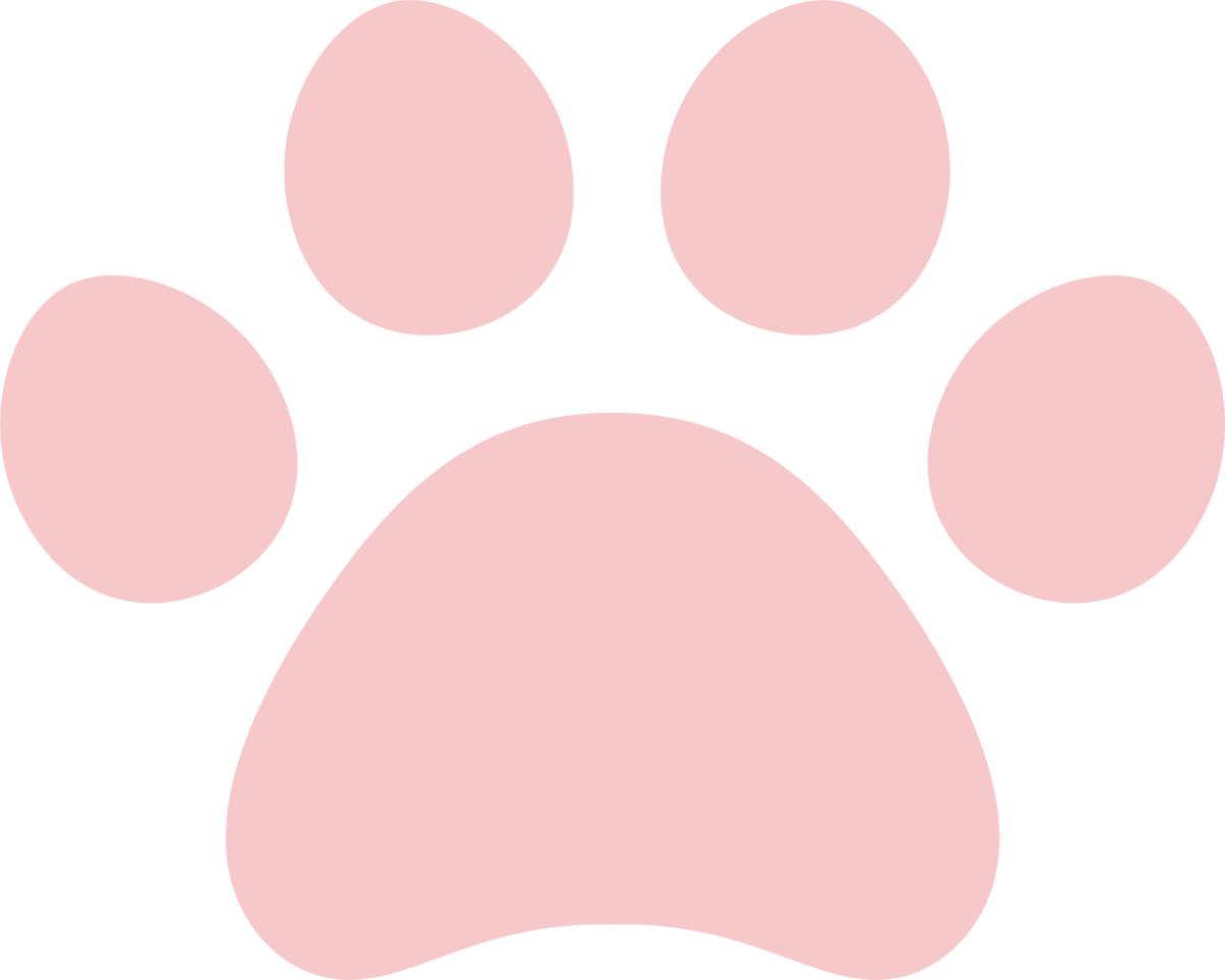 猫の肉球