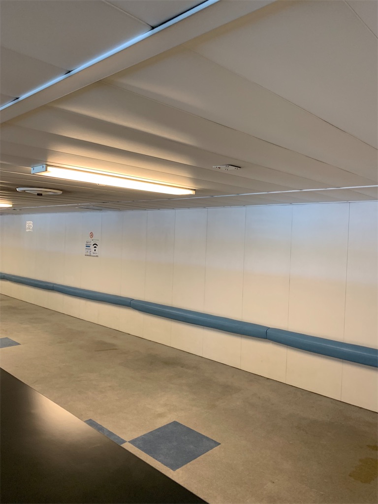 f:id:nyankotv:20190616115401j:image