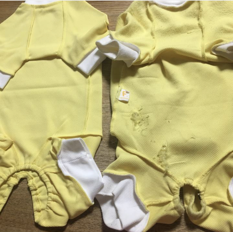 f:id:nyanmamachan:20220111223852j:plain