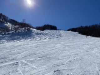 f:id:nyanme:20220123043629j:plain