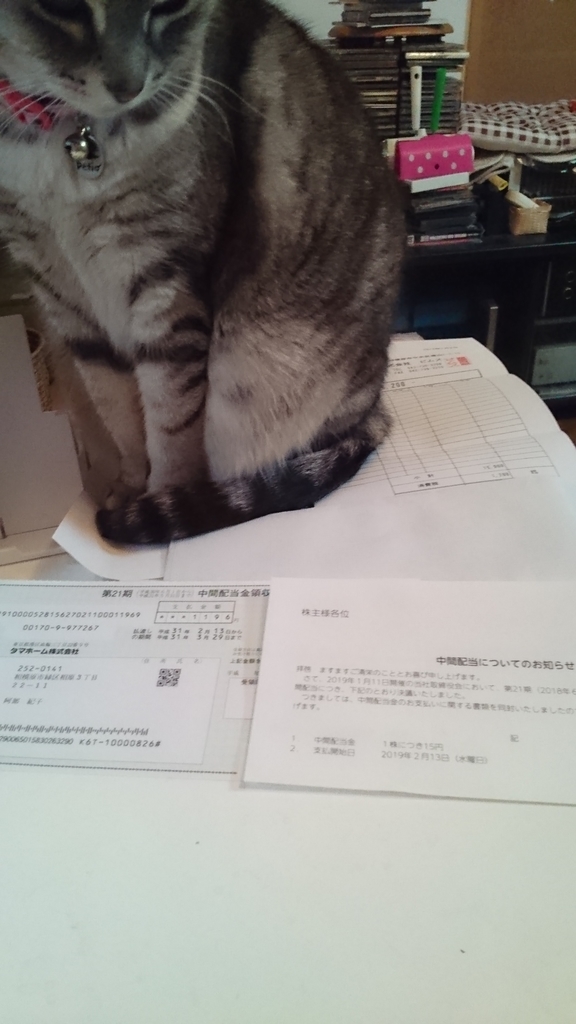 f:id:nyannkorinn:20190213163553j:plain f:id:nyannkorinn:20190213163553j:plain