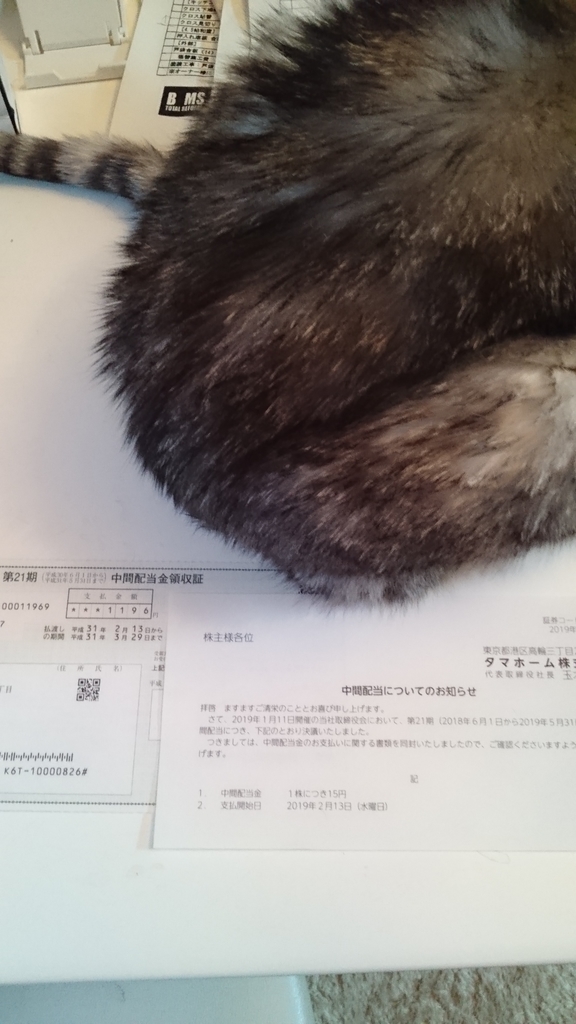 f:id:nyannkorinn:20190213164129j:plain f:id:nyannkorinn:20190213164129j:plain